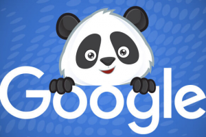 google-panda google-panda