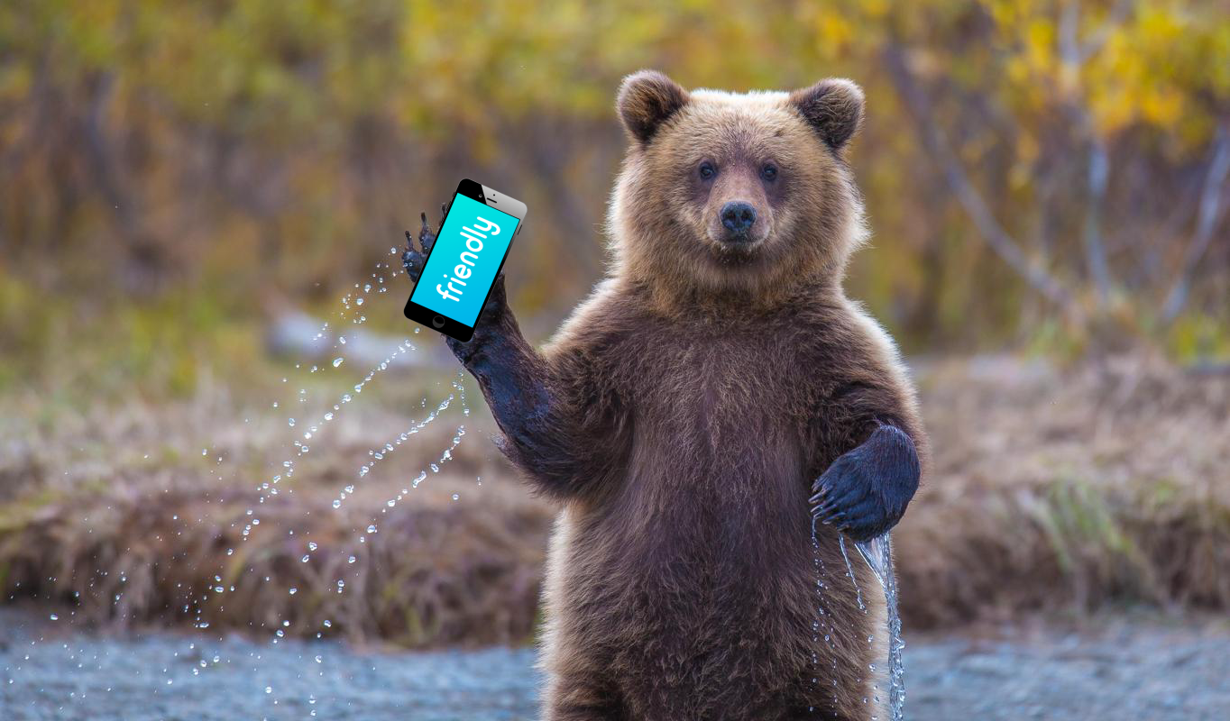 mobile-friendly-bear mobile-friendly-bear-holding-a-phone