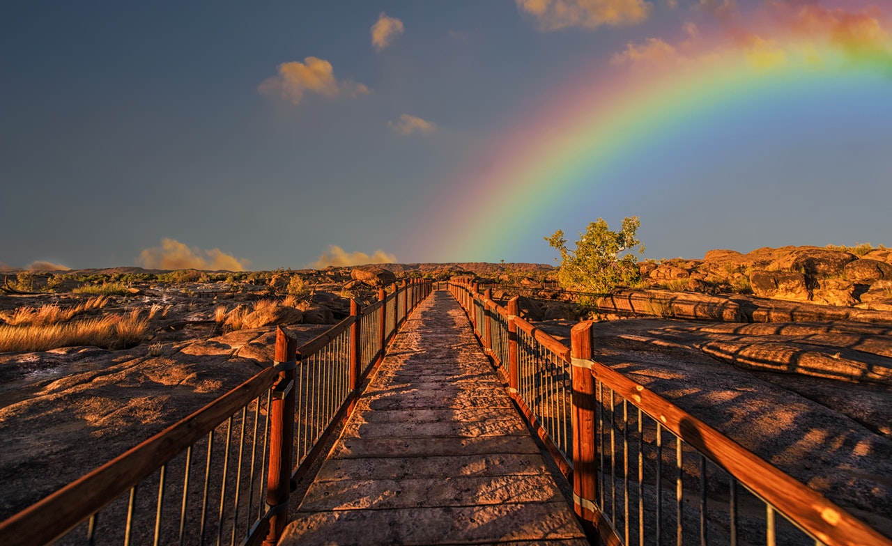 rainbown-bridge rainbown-bridge