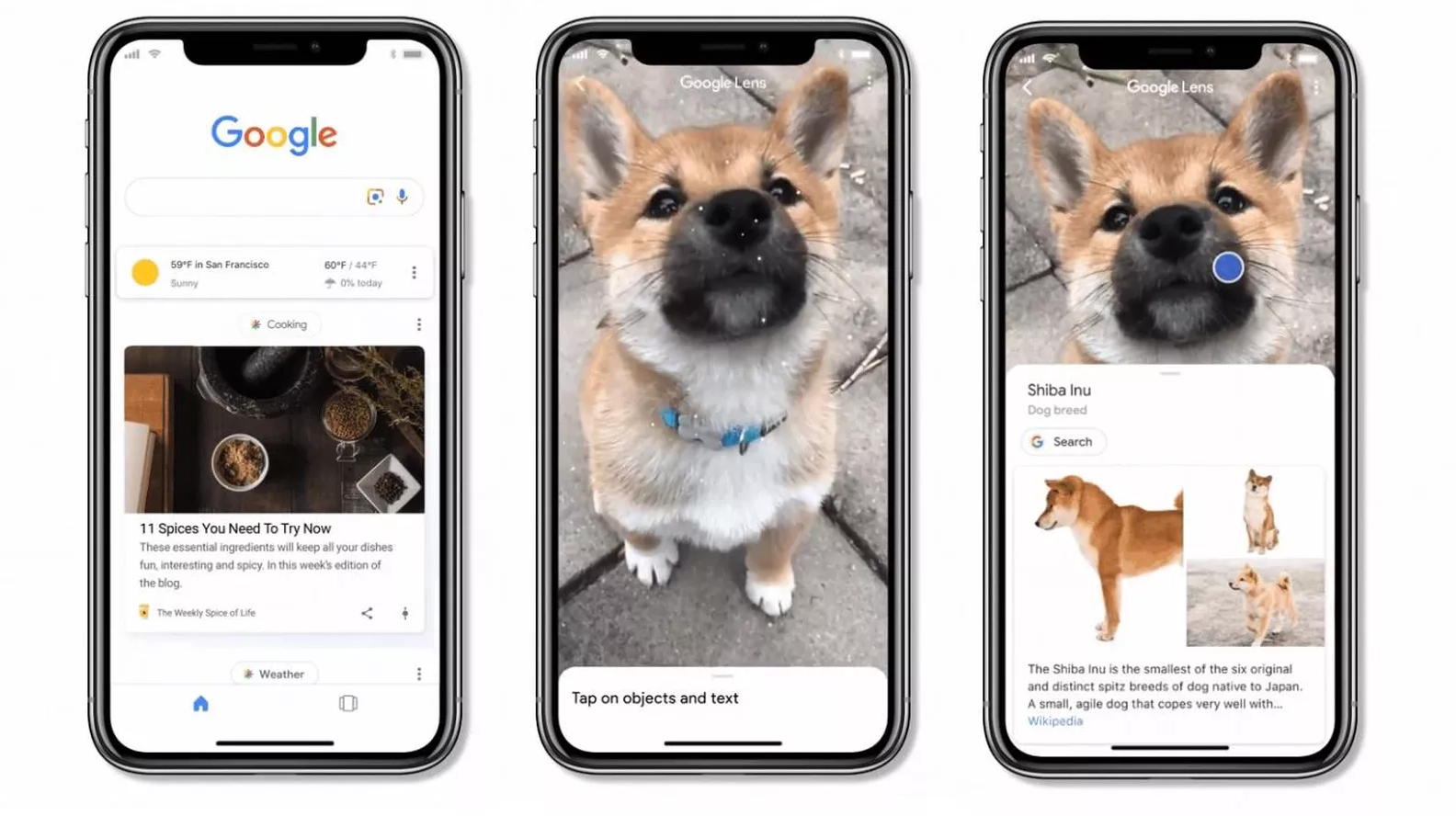 google lens ios app google lens ios app