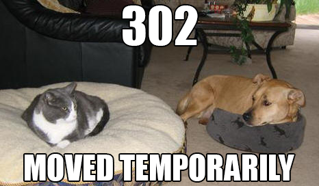 302 redirect 302 redirect