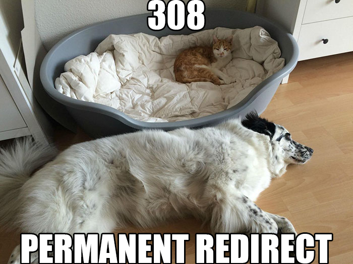 permanent redirect permanent redirect