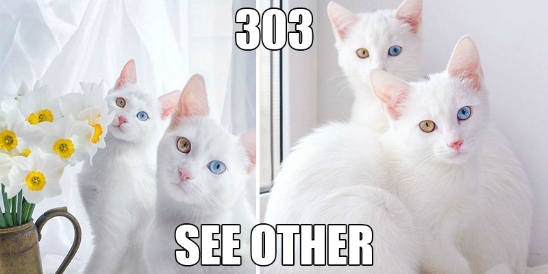 303 see other 303 see other