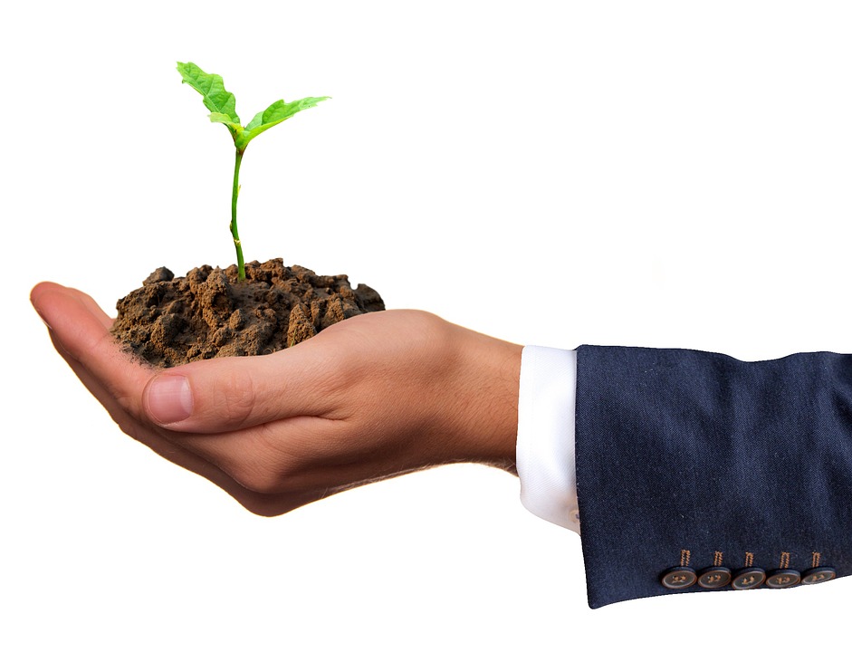 seed keyword seed keyword