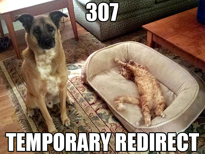 temporary redirect temporary redirect
