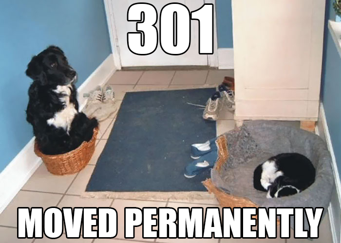 301 redirect 301 redirect