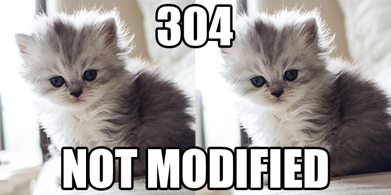 not modified not modified