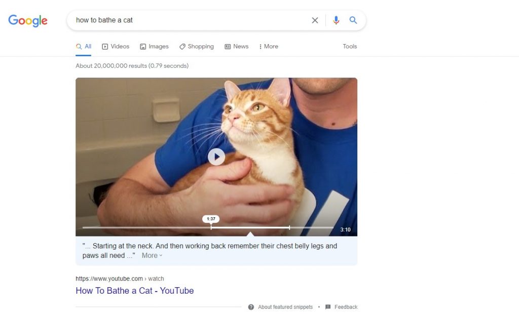 a featured snippet for the how to bathe a cat keyword a featured snippet for the how to bathe a cat keyword