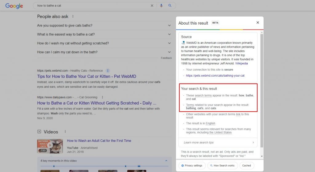 Your search and this result section of the new snippet Your search and this result section of the new snippet